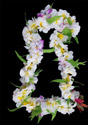 White Plumeria Jasmine Flower Lei with Orchid