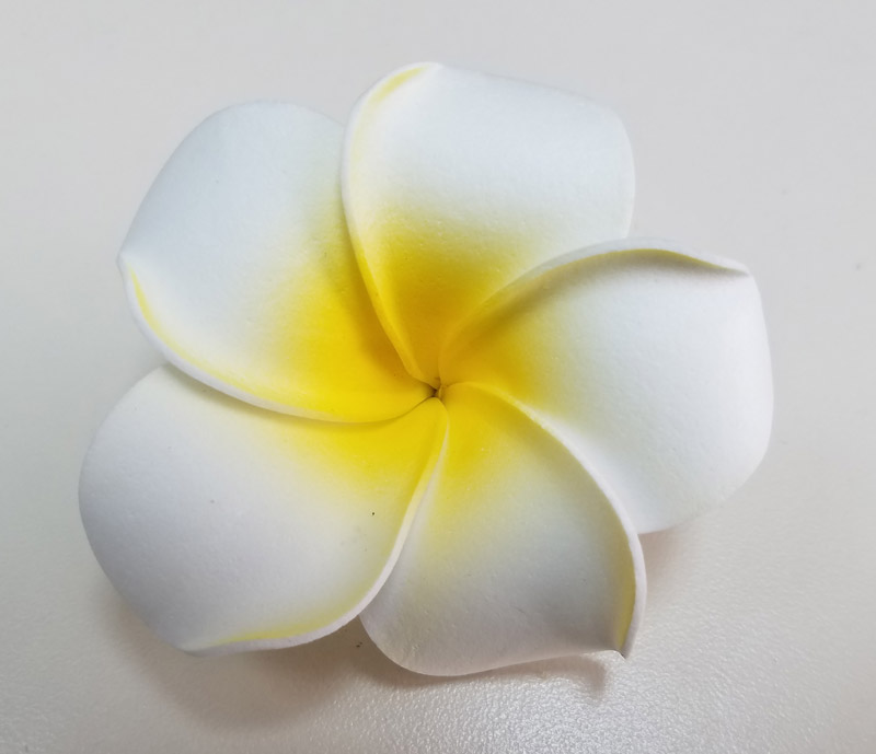 Hawaiian Simple White Plumeria Flower Hair Clip