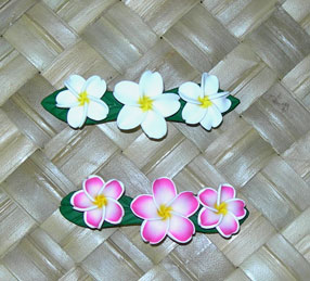 Hawaiian Girl Barrettes