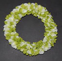 Green Ginger Head Lei