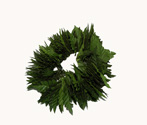 Hawaiian Fern Head Lei (unisex)