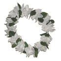 Hawaiian Single Plumeria Haku Lei