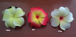 Plumeria Hair Band