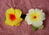 Hawaiian Single flower hair clip