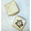 Favor Box with coconut turtle Set of 25