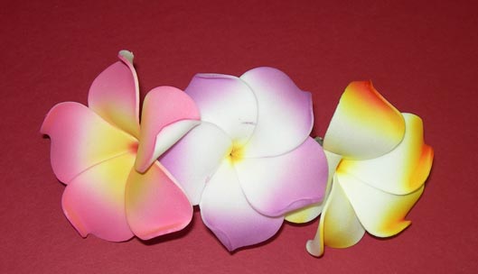 Plumeria Hair Barrettes