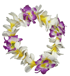 Orchid/Plumeria Haku Lei