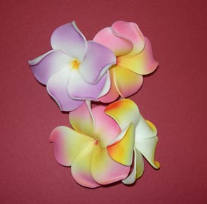 Double Plumeria Barrettes