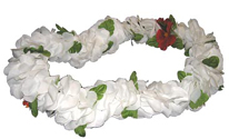 Hawaiian Popular Lei