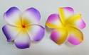 Hawaiian Simple Plumeria Flower Hair Clip